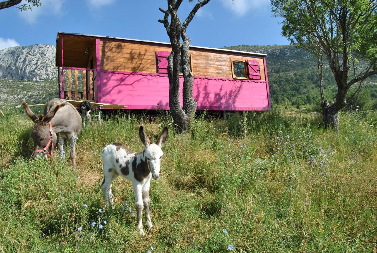 Ferme Saint Pierre 호텔 Bargème 외부 사진